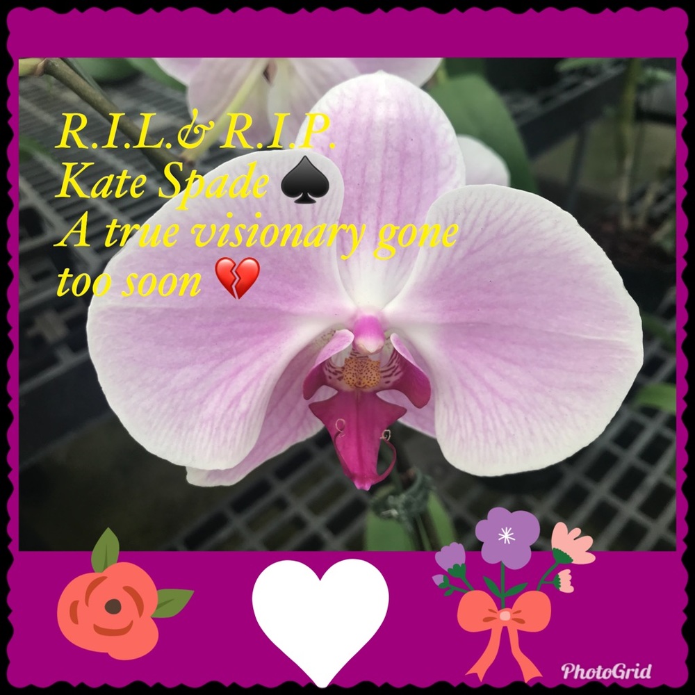 We are saddened by your passing ♠️